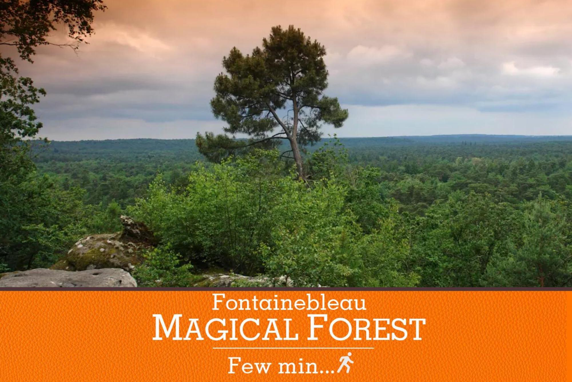 Apartment Standing A 7min De Fontainebleau Centre, 3min De Moret-sur-loing Et 45min De Paris